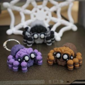 Flexi Jumping Spider and Web