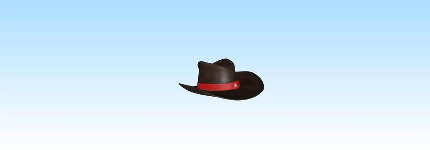 a cowboy hat