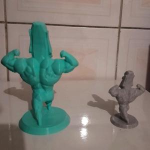 Moai Swole - BodyBuilder Moai