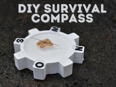 DIY Survival Compass 