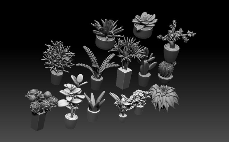 plants