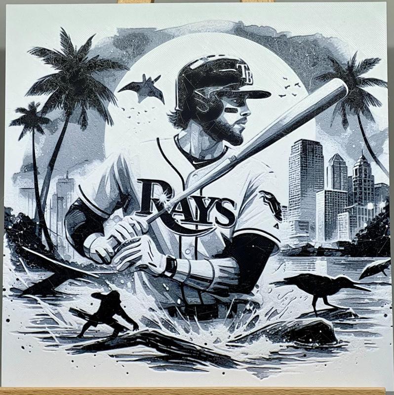 Play Ball! Tampa Bay Rays #1