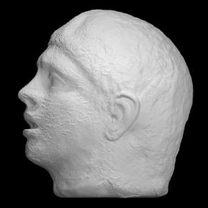 Head of a Combatant (or "Head of Hercules"