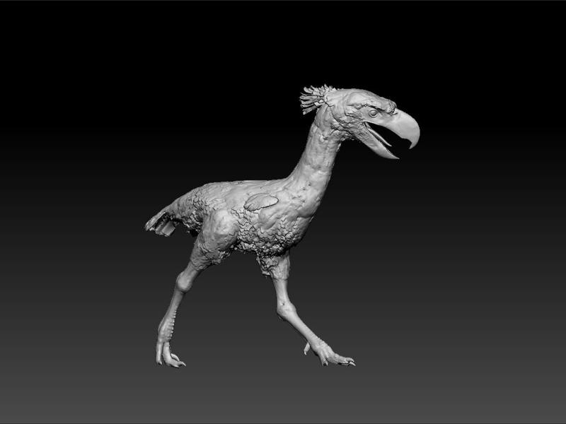 terror bird -Terrorvögel -Phorusrhacidae