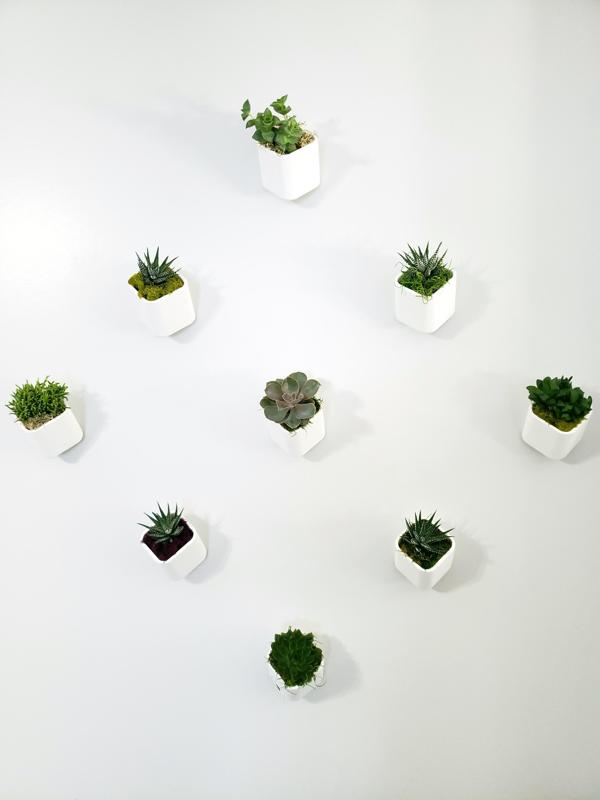 Wall Planter
