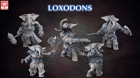 November 2022 LOXODONS