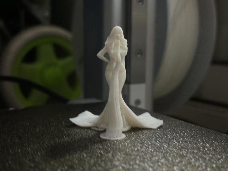 Oriental Beauty—A Lady in a Long Dress