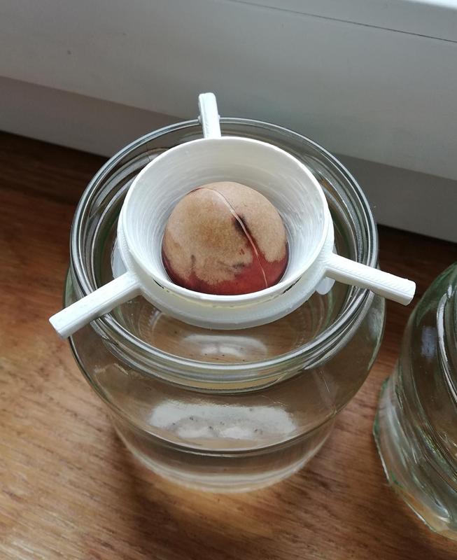 Avocado seed planter
