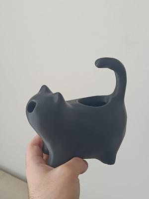 The Watering Cat Fixed Model