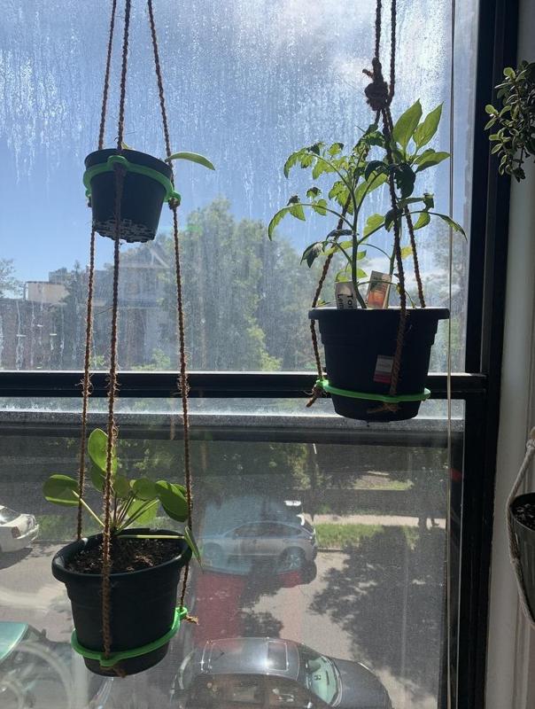 Hanging Rope Planter 