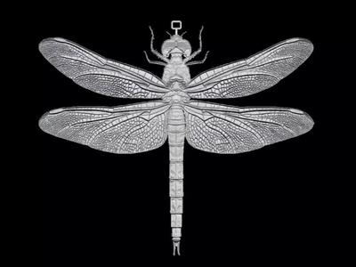 Dragonfly Pendant Sculpture