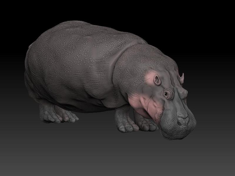hippopotamus zbrush 