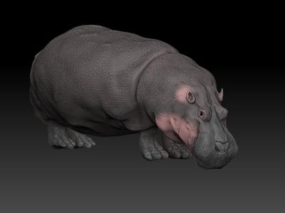 hippopotamus zbrush 