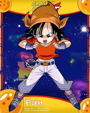 PAN DBGT