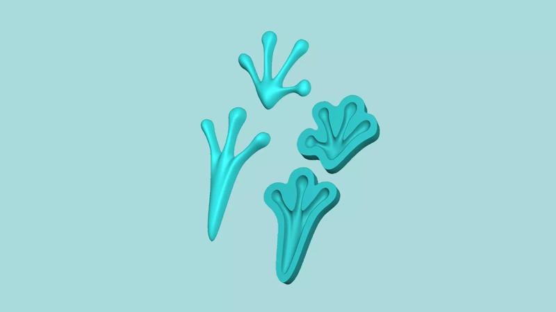 Frog Footstep - Silicone Mold -Template
