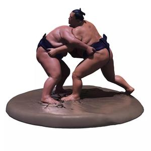 Sumo Fight Scene