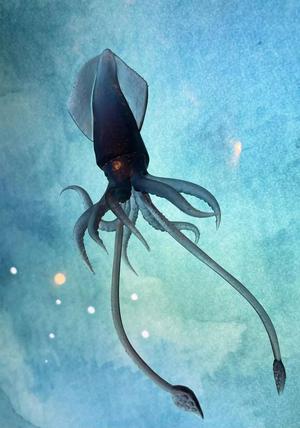 Squid 3D print sculpt