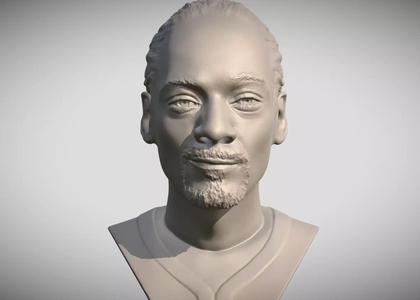 Snoop Dogg bust