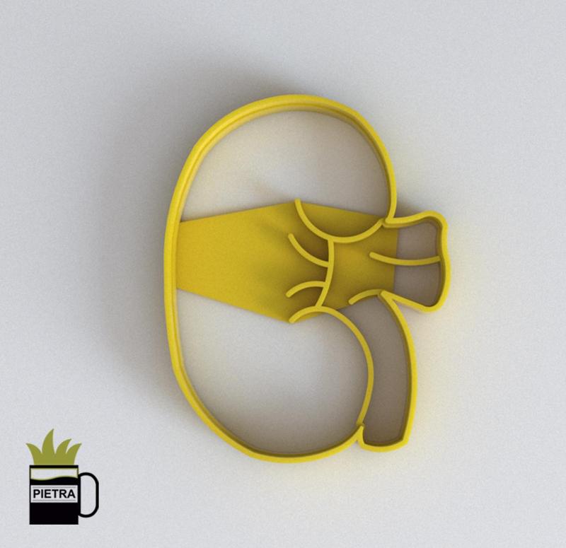 CUTTING MOULD OF FONDANT BISCUITS OF HUMAN BODY ORGANS KIDNEY PRINT MODEL 3D