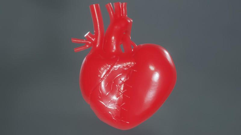 Tied Anatomical Heart