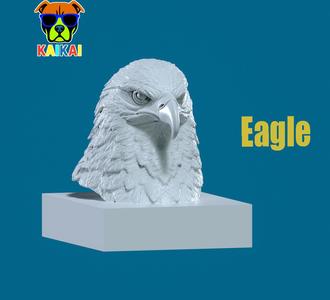 Eagle bust - Hawk head model - 3D print