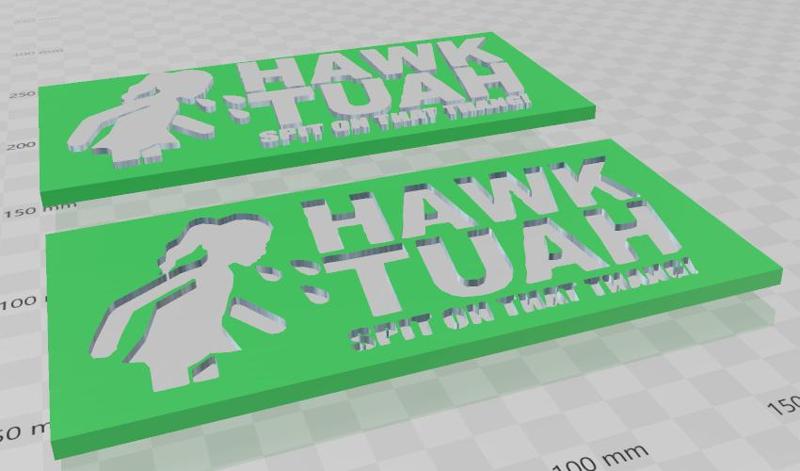 HAWK TUAH logo