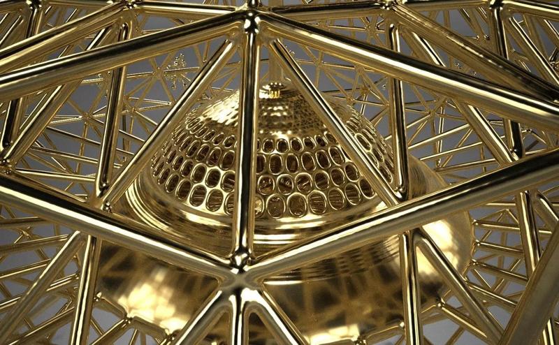 Radiolarian Phaeodaria