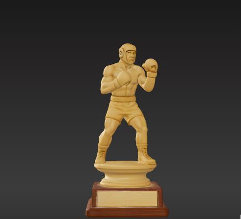 Fight Trophy