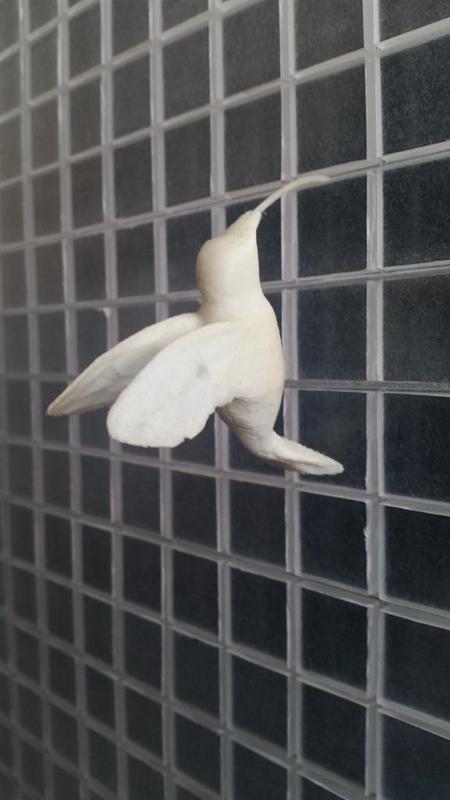 Glad-Colibri
