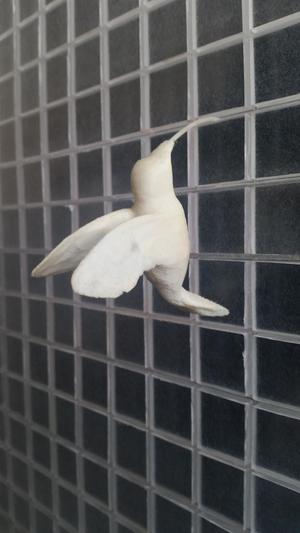 Glad-Colibri