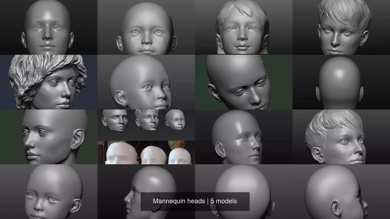 Mannequin heads 3D Model Collection