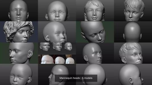 Mannequin heads 3D Model Collection