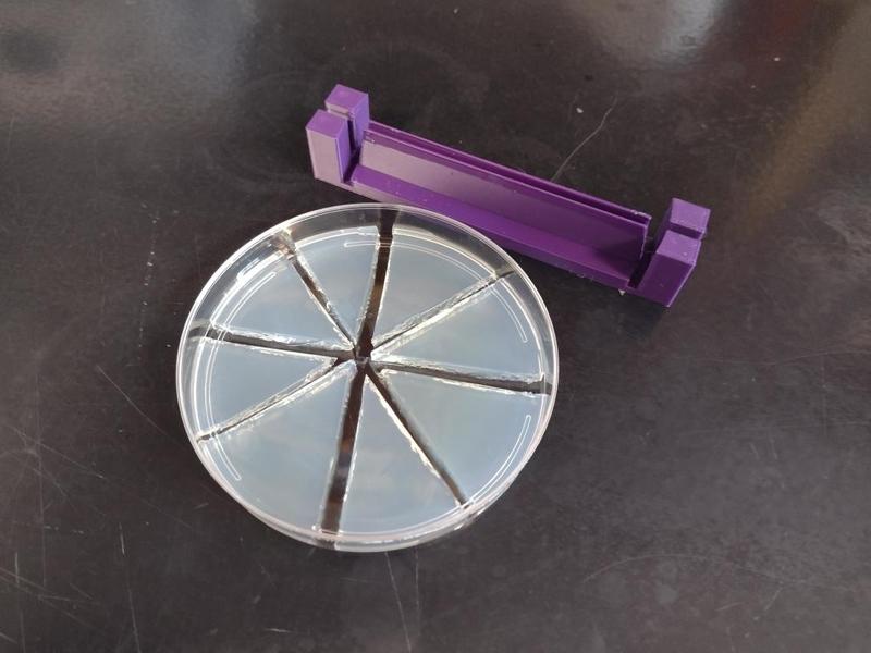 Petri dish/agar plate slicing/punching tool