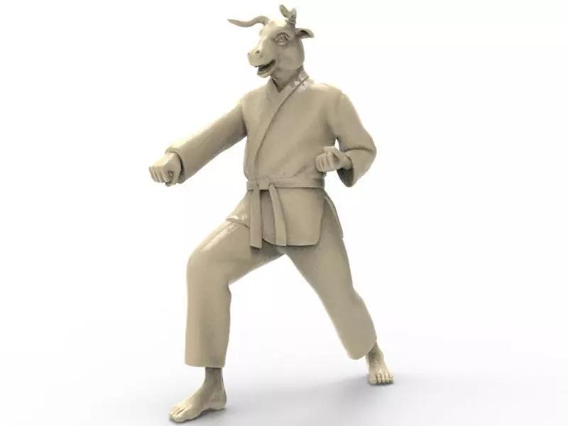 Ox Zenkutsu Dachi Stance