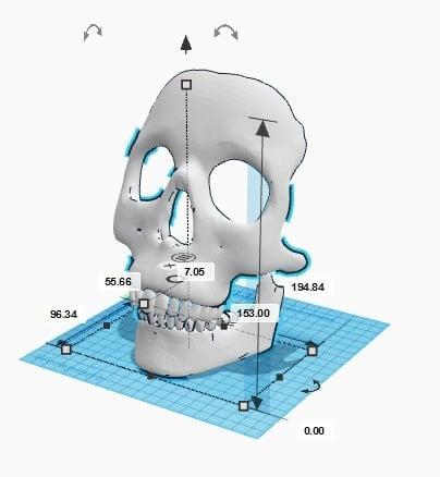 Skull Mask