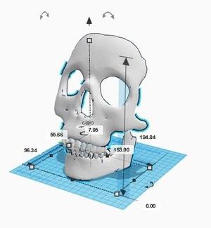 Skull Mask