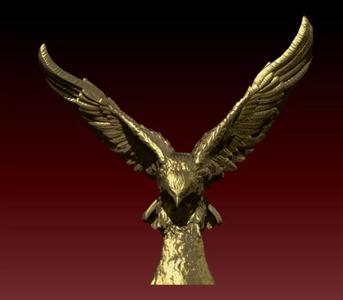 Falcon bird eagle