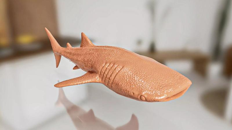 Realistic Whale Shark