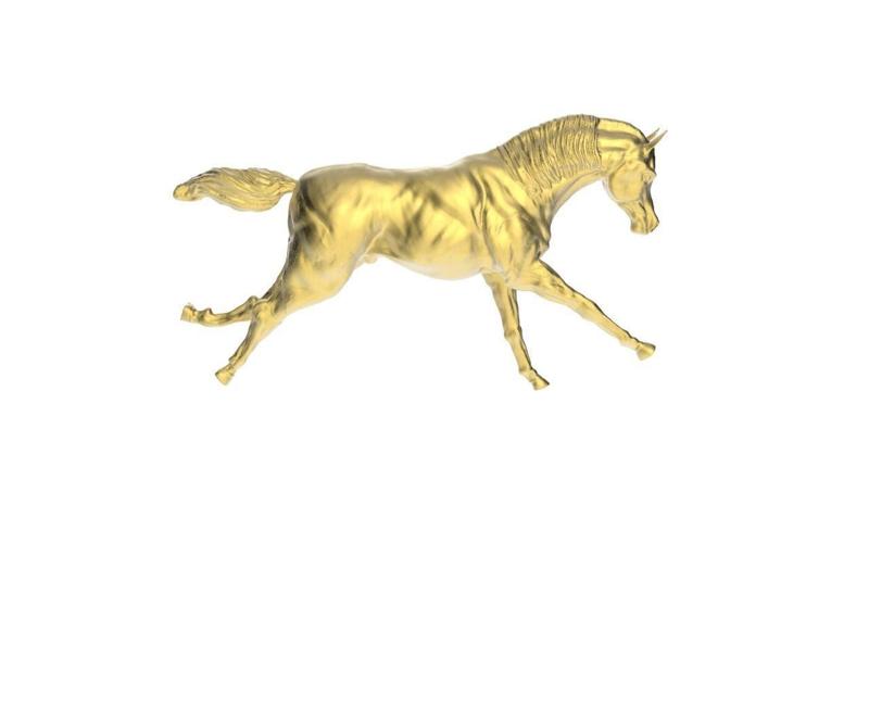 Arabic Horse in galloping position