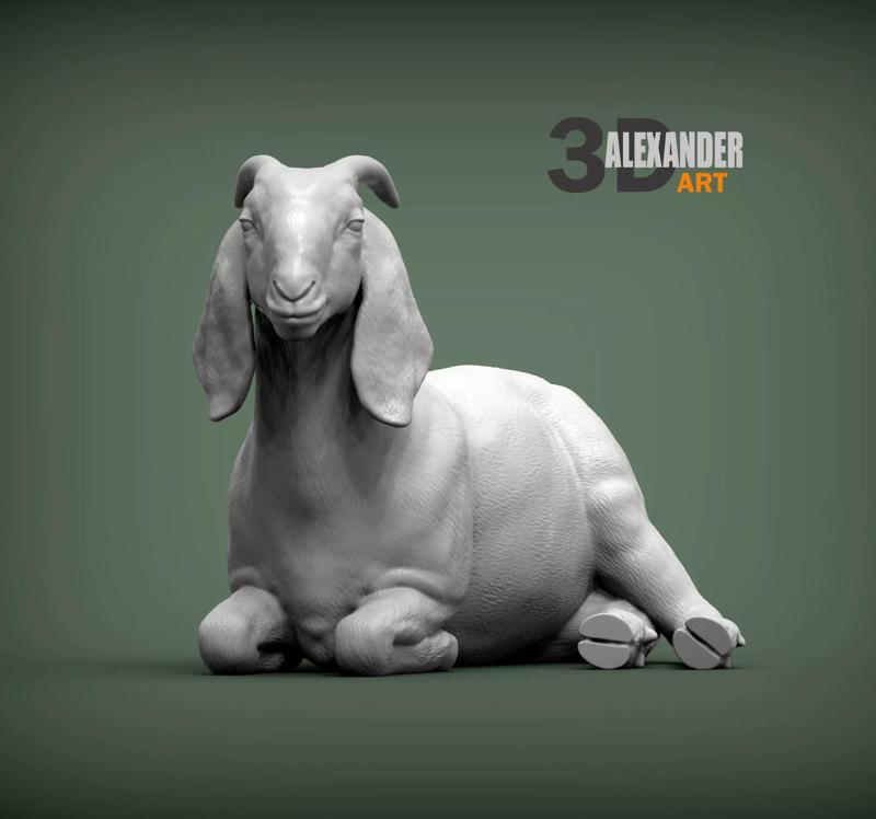 Boer Goats female lies