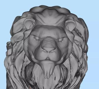 lion and  tiger