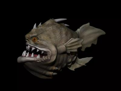 Angler Fish
