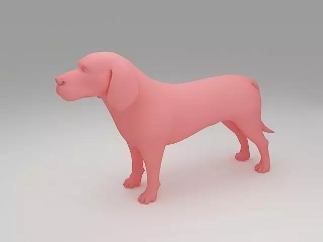 Beagle 3D Model dog
