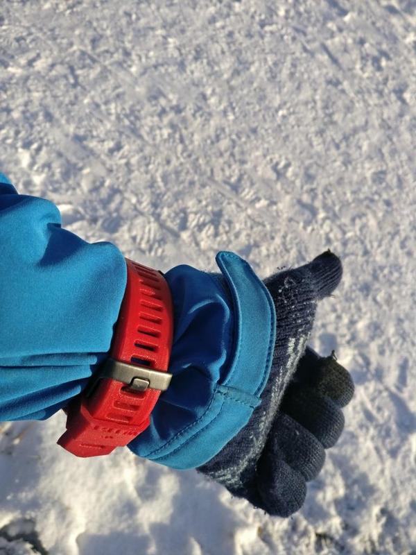 Garmin Fenix3 wristband