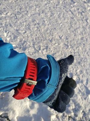 Garmin Fenix3 wristband