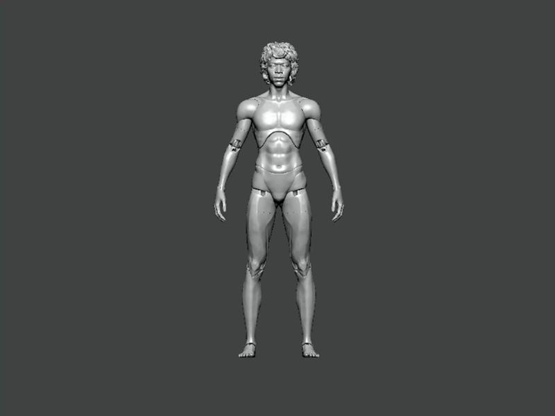 3D Model-ANATOMY0014 human body