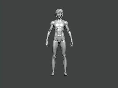 3D Model-ANATOMY0014 human body