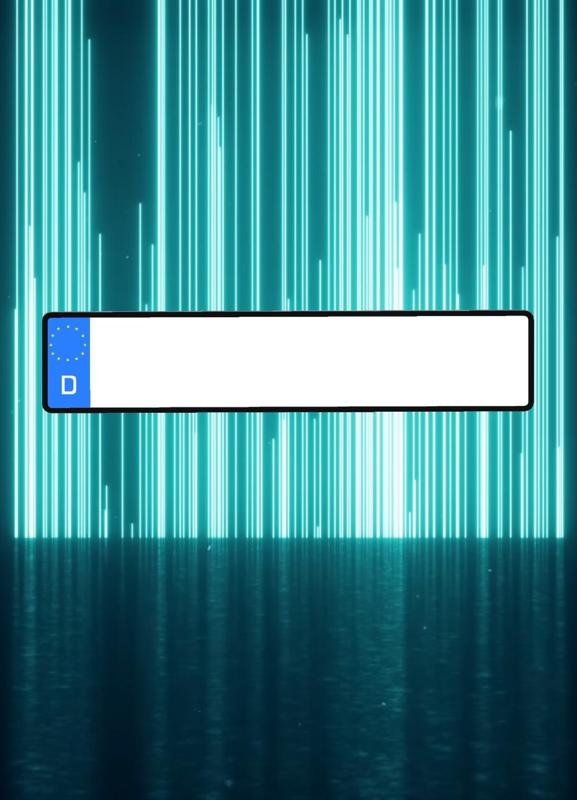 GERMAN LICENSE PLATE