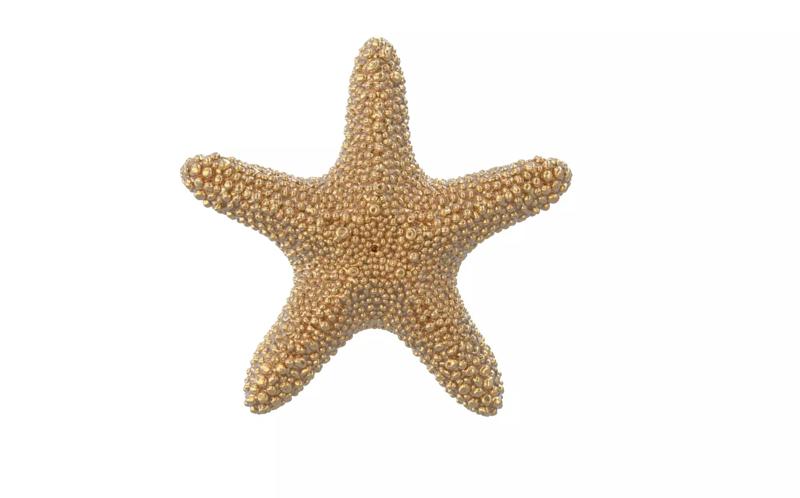 starfish pendant 3D model
