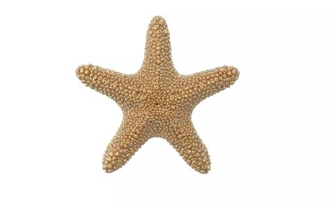 starfish pendant 3D model